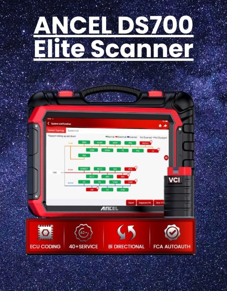 312833_5